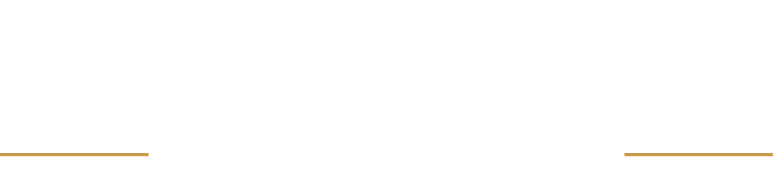 logo main
